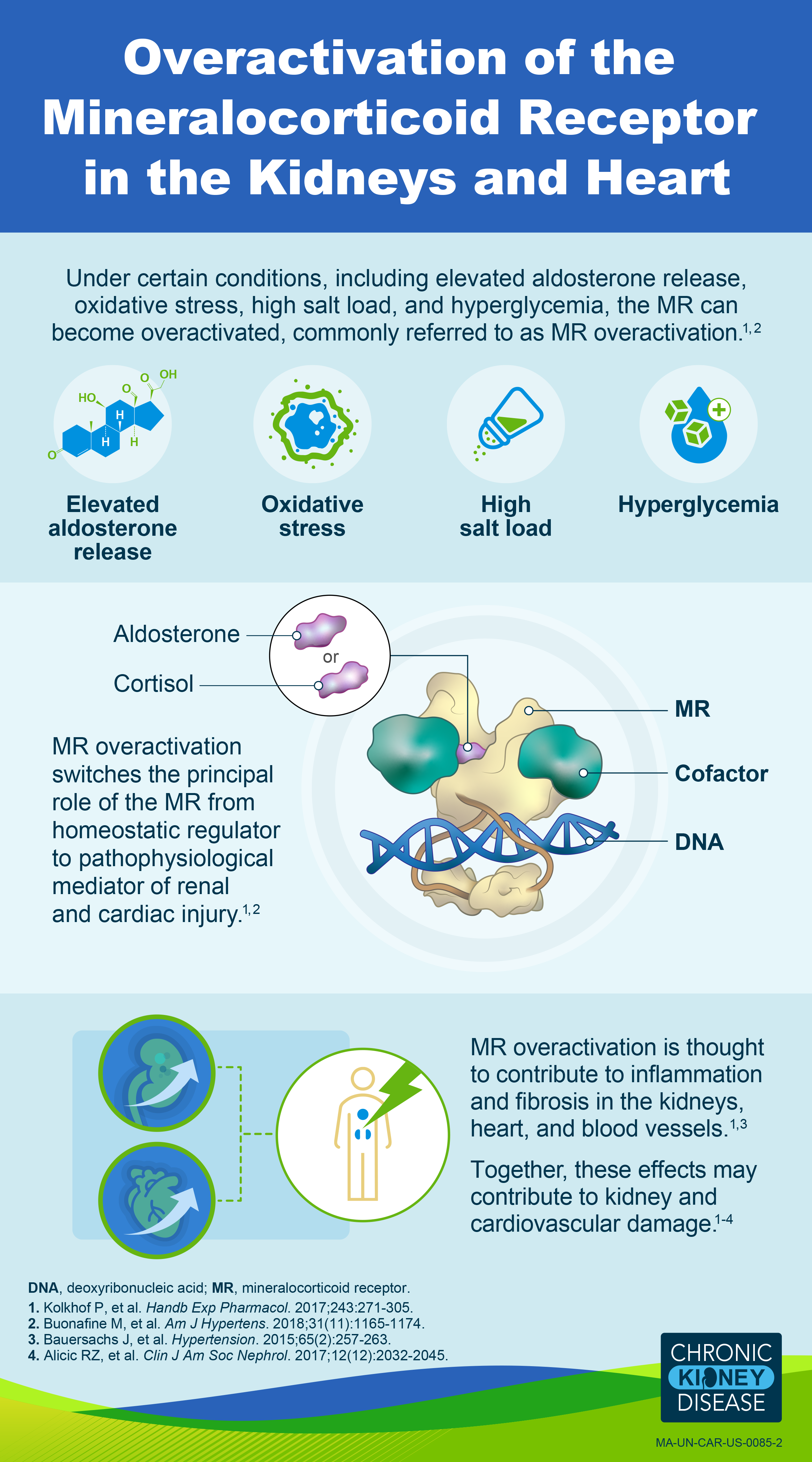 Pathophysiology of Disease Image