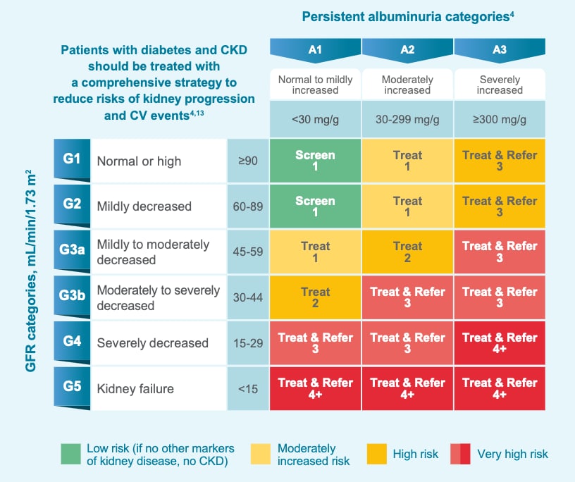 Color-coded KDIGO heat map showing CKD risk in patients with type 2 diabetes according to eGFR stage and albuminuria level, noting recommendations for screening, treatment, and referral