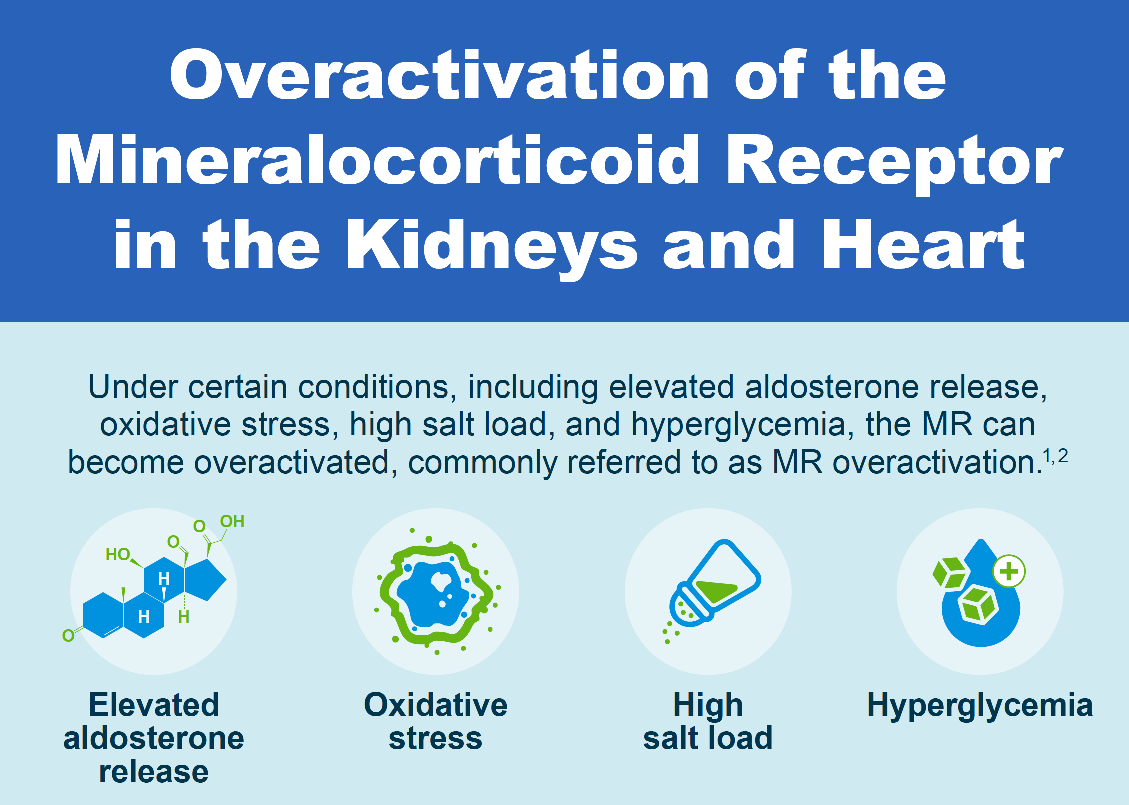 Educational infographic explaining overactivation of mineralocorticoid receptor in kidneys and heart